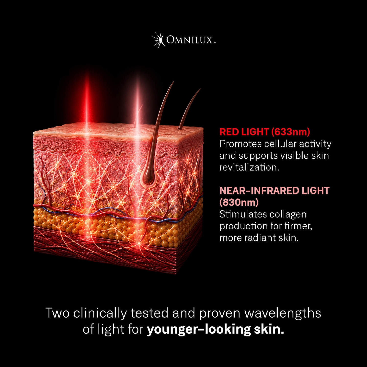 LED-устройство для шеи и декольте Omnilux Contour с красным и инфракрасным светом — фото 3