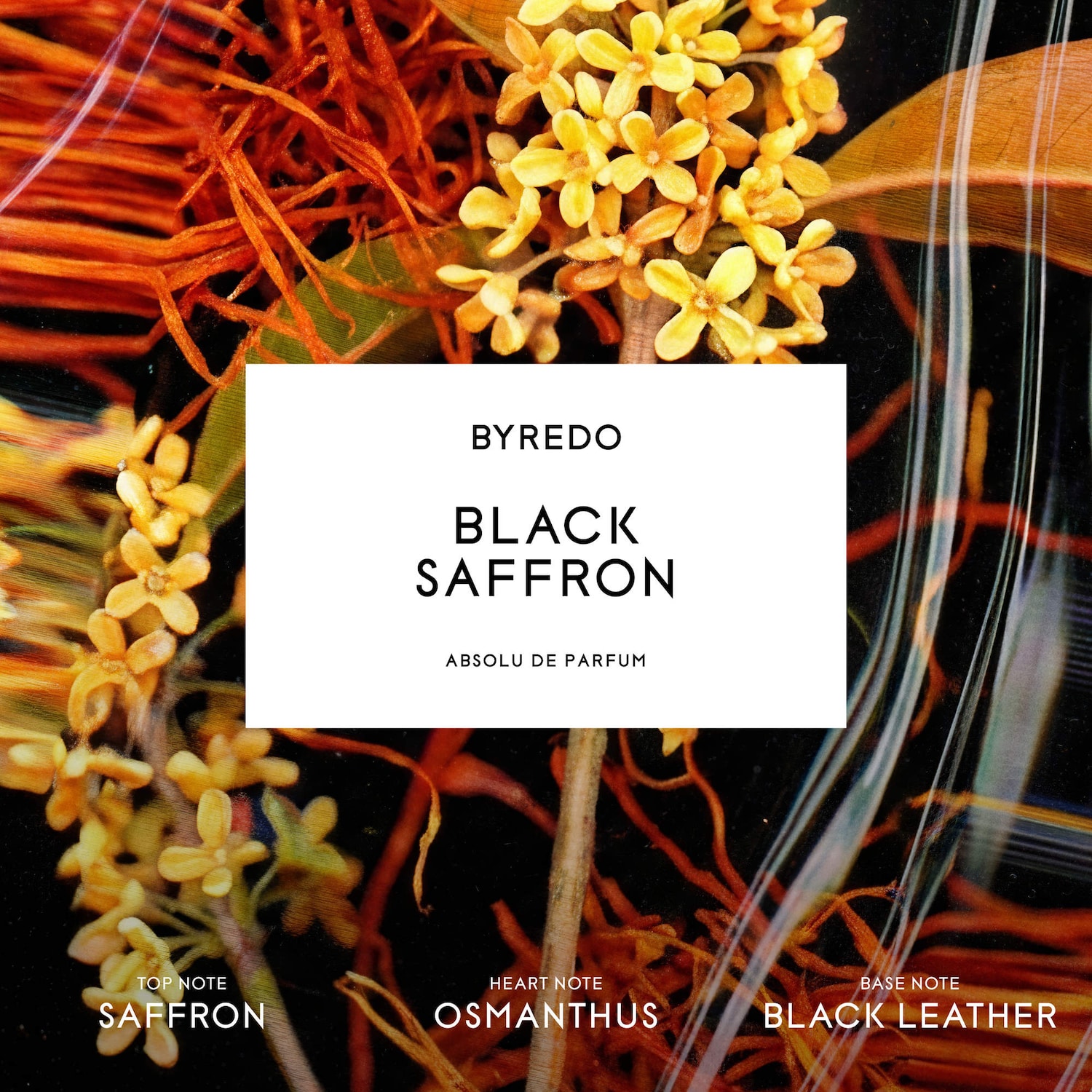 Black Saffron Absolu de Parfum - BYREDO | Sephora