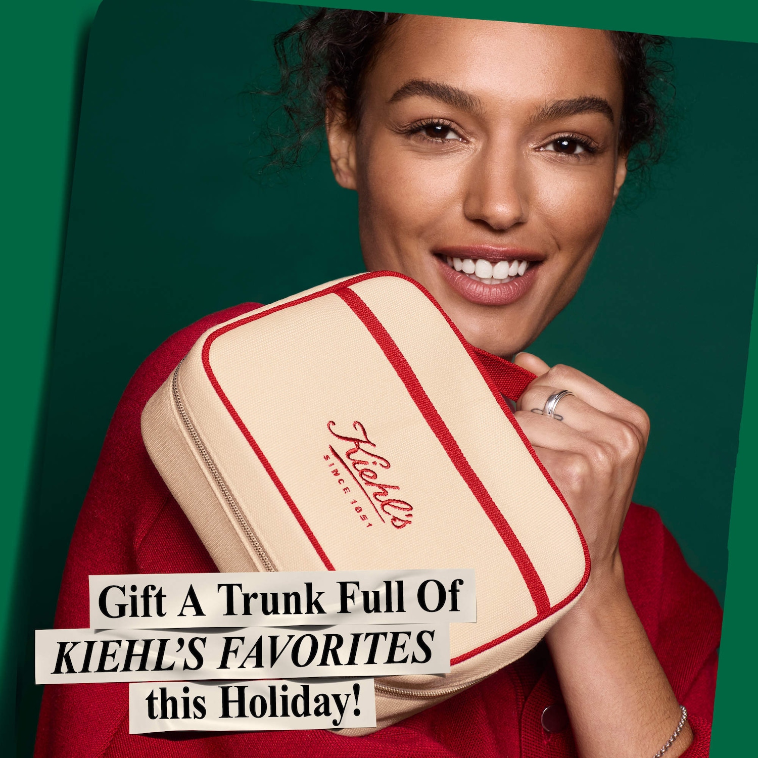 everlife 豪華化粧品セット お得！！！！ Holiday Trunk of Wonders