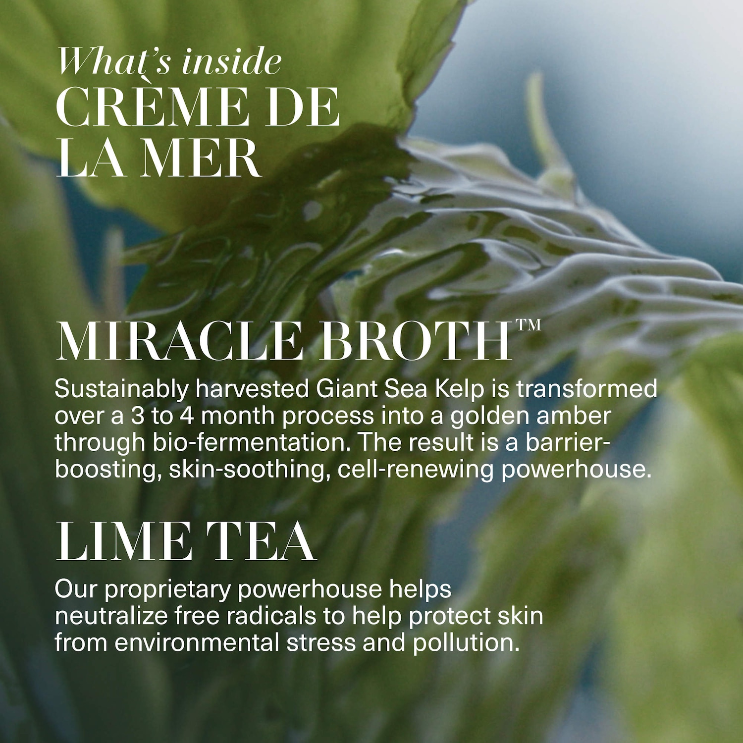 The Crème de La Mer Duet Skincare Set - La Mer | Sephora