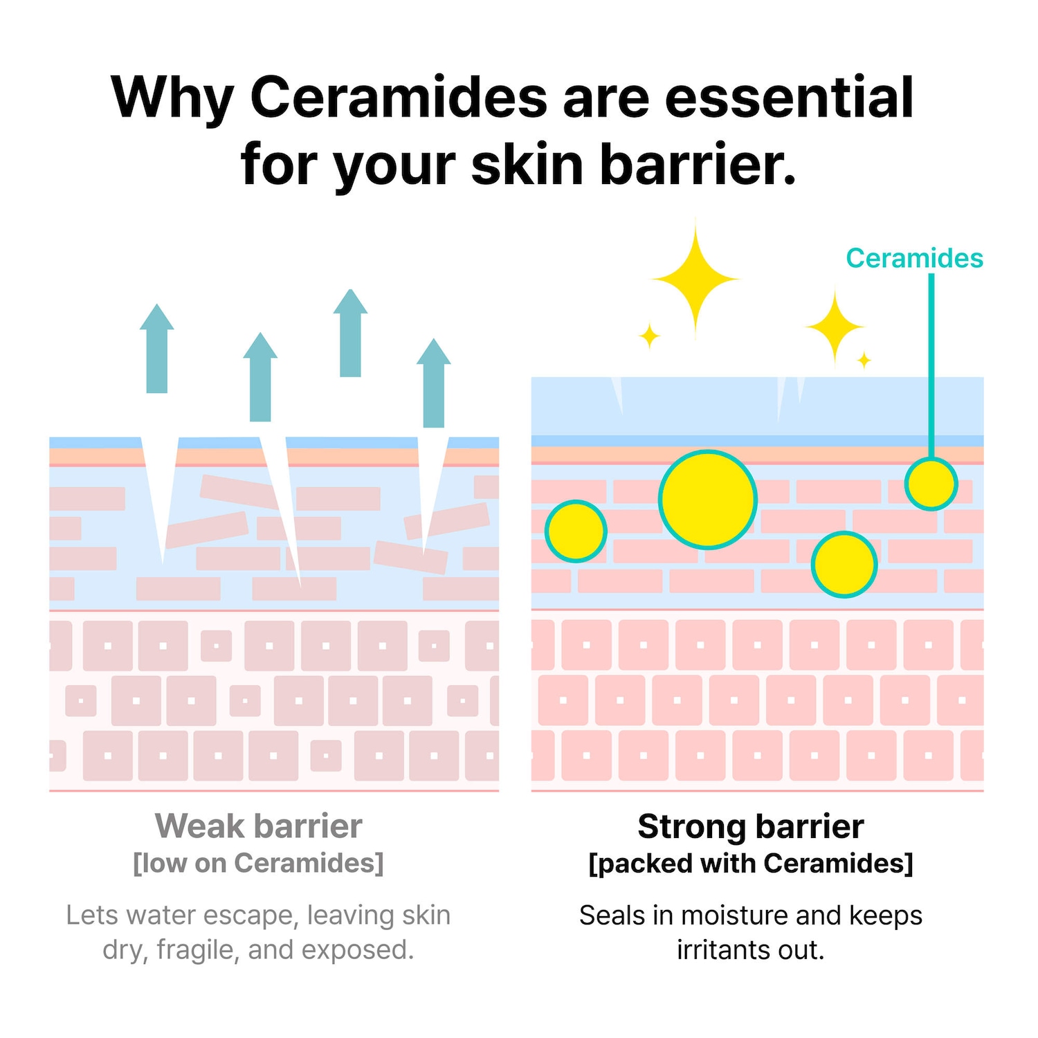 Mega Moisture Moment Kit: Ceramidin Skin Barrier Holiday Gift Set