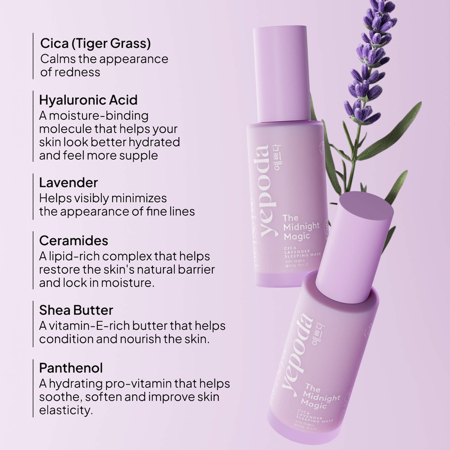 The Midnight Magic - Rich, anti-aging overnight cream with