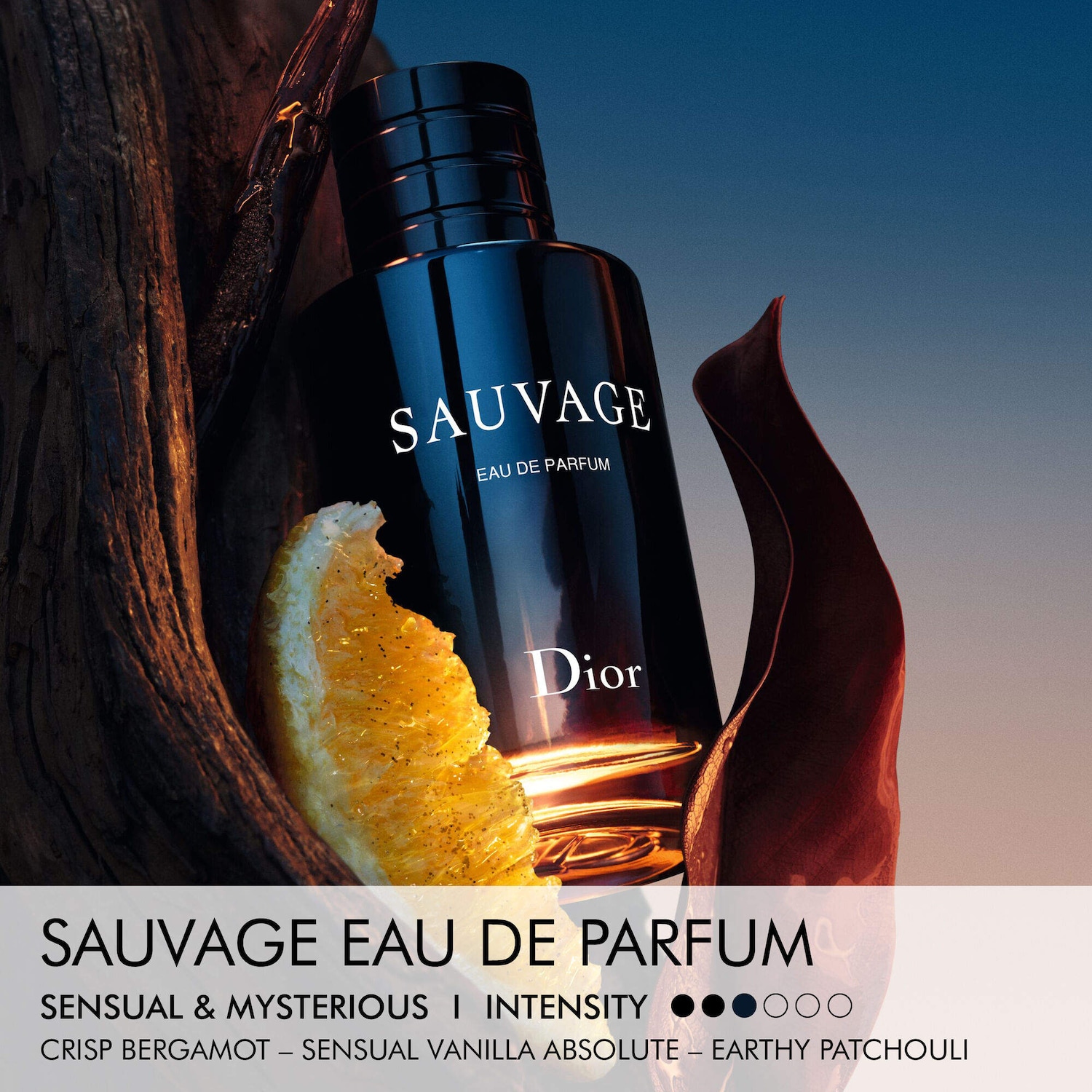 Sauvage Eau de Parfum Cologne Duo Gift Set - DIOR | Sephora